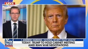 Trump's 'peace through strength' approach delivers results with Iran, expert says