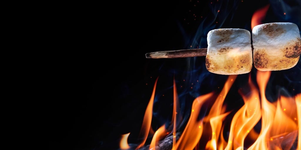 How To Roast The Perfect Marshmallows Fox News Video   Image 