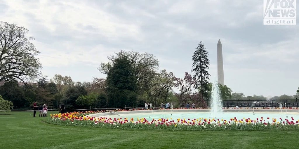 Guests, travelers and visitors enjoy White House Garden Tour this spring