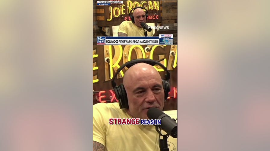 Joe Rogan: Masculinity has been DEMONIZED