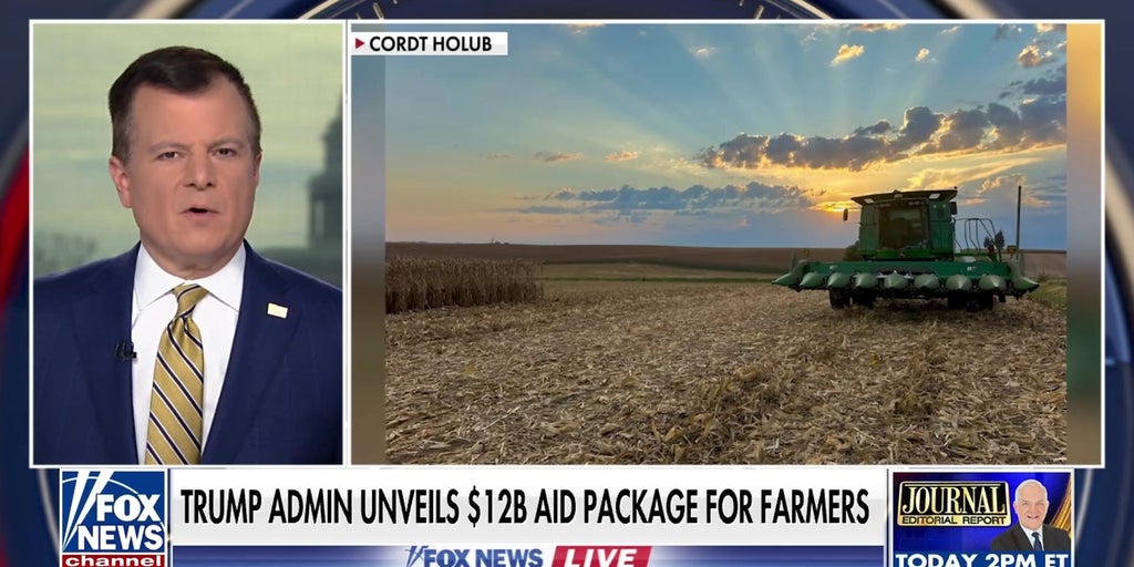 Iowa farmer reacts to Trump's $12 billion aid package: We need 'long-term solutions'