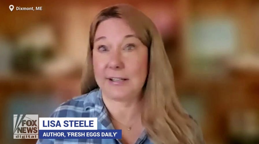 On World Egg Day, author reveals 'gold standard' of eggs found at grocery stores