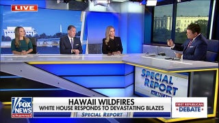 Biden’s Hawaii wildfires response is ‘not a great look: Stef Kight - Fox News