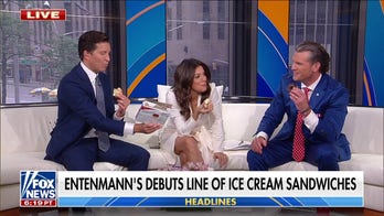 Entenmann’s launches new line of ice cream sandwiches