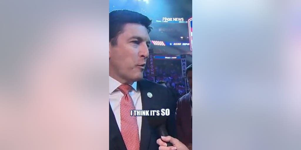 Rep Bryan Steil says Democratic Party is 'radicalized'