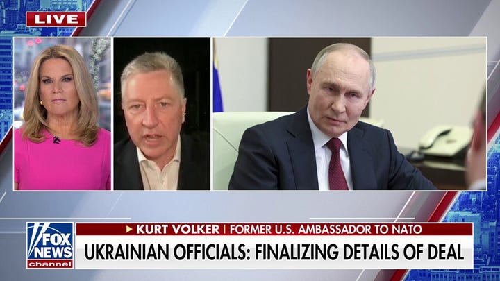 Russia could 'exploit' Ukraine's minerals deal, former NATO ambassador says