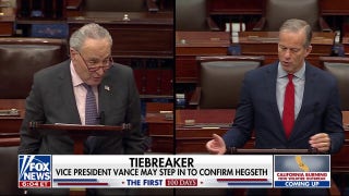 Are Dems 'wasting time' confirming Trump's Cabinet picks? - Fox News