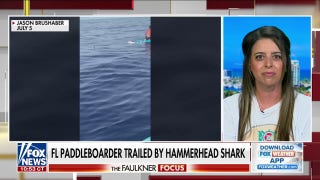 Hammerhead shark trails paddleboarder in Florida - Fox News