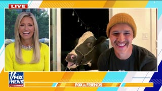 Pet cow gains herd of online followers with messy eating videos - Fox News