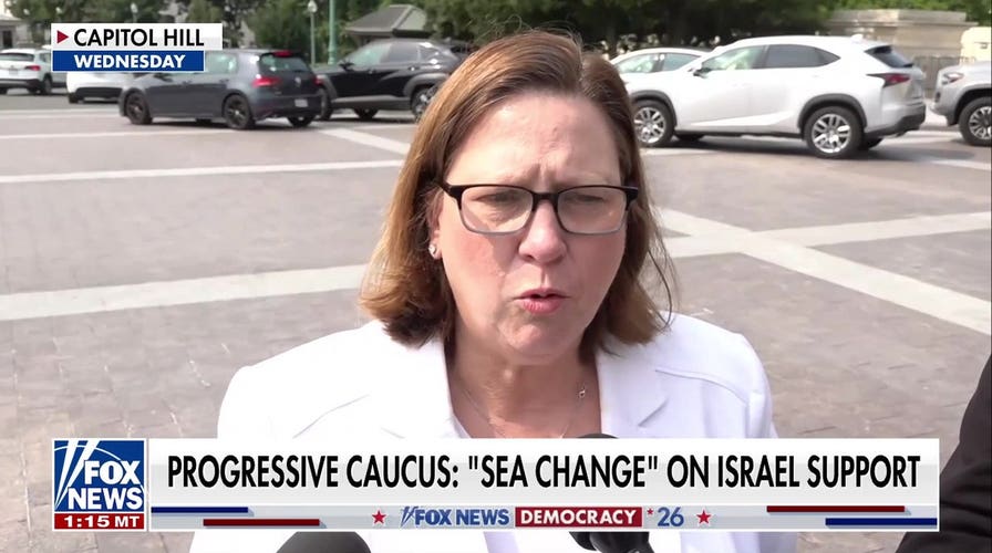 Democratic vote on Israel signals ‘seismic shift’ in party’s policy