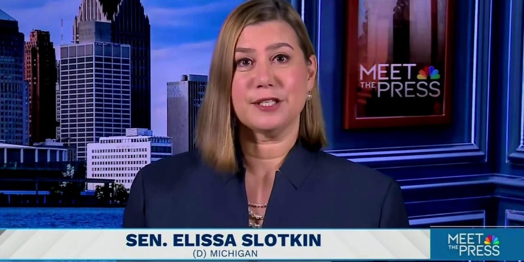 Democratic senator says party is lacking leadership, strategy following defeat to Trump