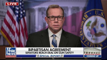 Trump 'fanned the voter fraud flames' ahead of January 6: Chad Pergram