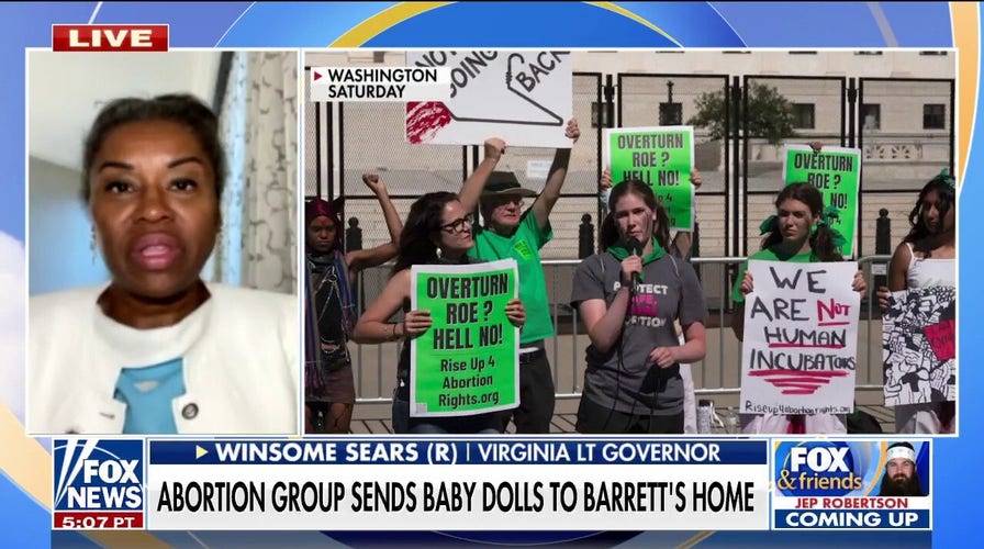 Virginia's Winsome Sears rips the left for 'indoctrination' in schools following youth abortion protests