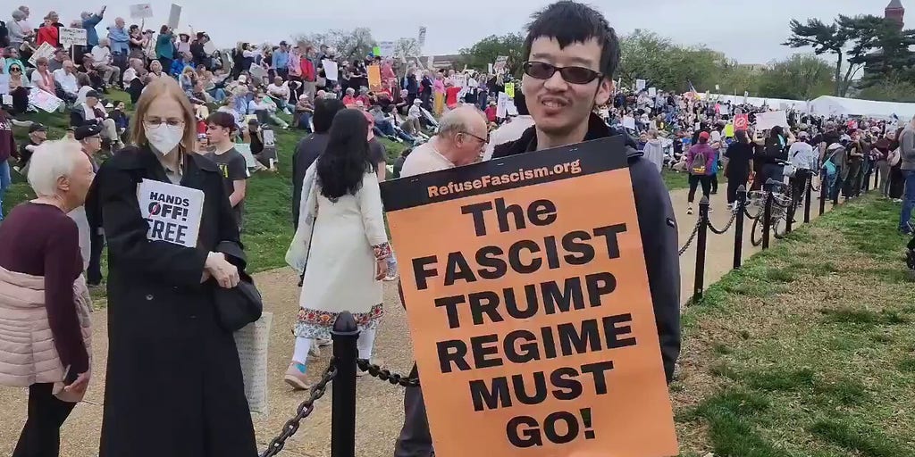 Anti-Trump protesters struggle to explain why they're demonstrating against president | Fox News Video