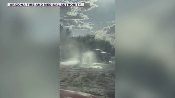 Arizona fire crews rescue family from swarming bees