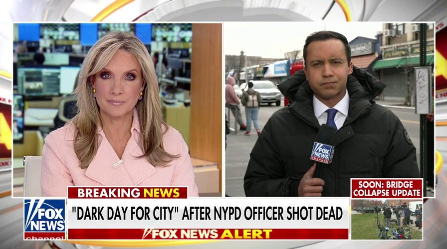 NYPD officer shot dead, suspects have at least 16 prior arrests