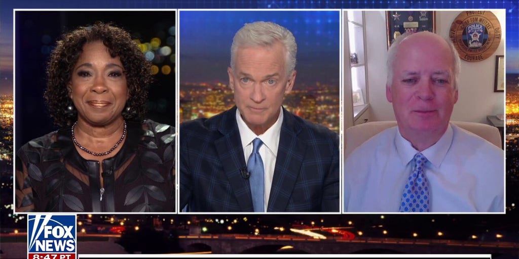 It would be ‘wonderful’ to get Dems on board in the migrant crime crackdown, says Chicago resident