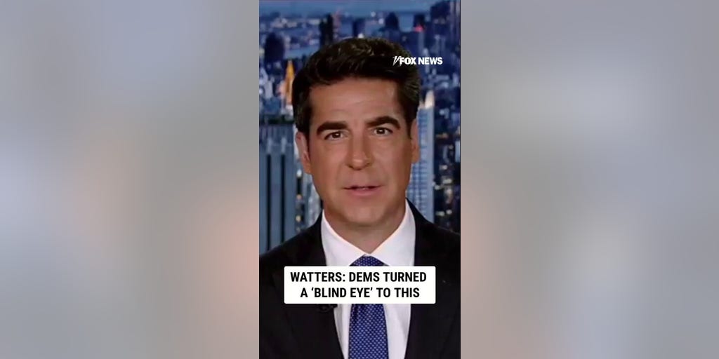 Watters: Dems turned a ‘BLIND EYE’ to this