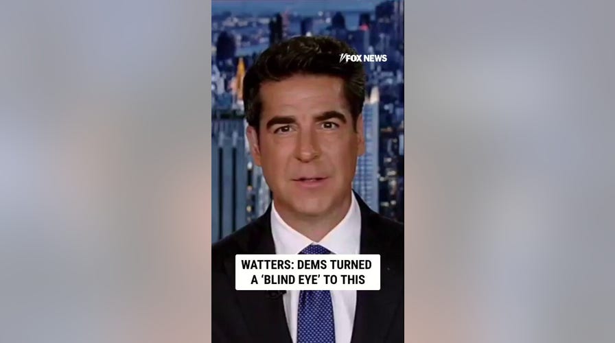 Watters: Dems turned a ‘BLIND EYE’ to this