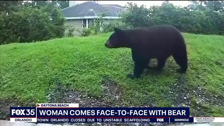Florida woman finds bear outside her door, doorbell camera footage shows