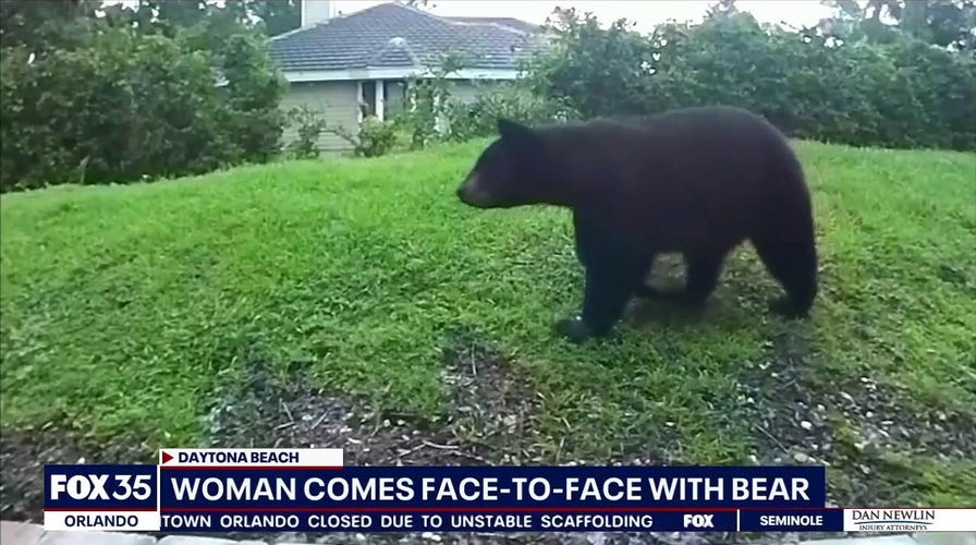 Florida woman finds bear outside her door, doorbell camera footage shows