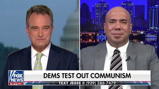This is a fight for what the Democratic Party is going to be, politics professor says