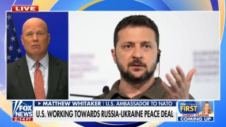 Officials could be 'on the cusp' of peace in Ukraine, US ambassador to NATO says