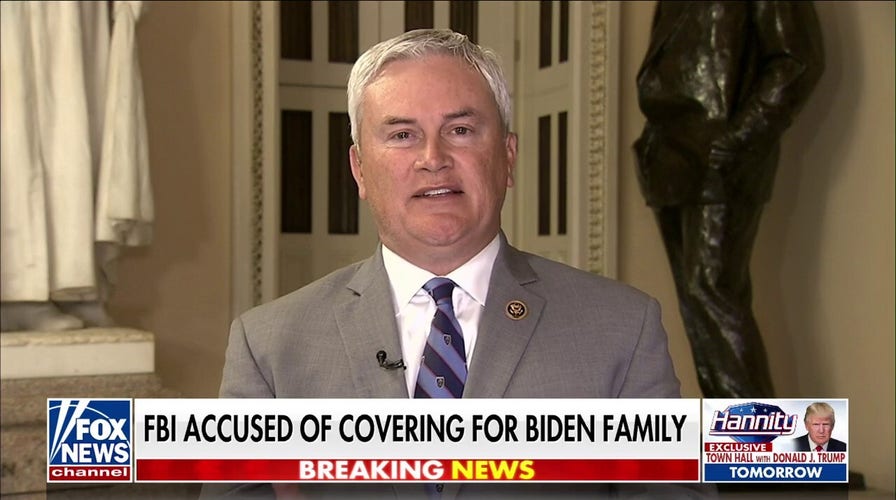 James Comer: 'Pattern of behavior' suggest allegations against Biden family have merit