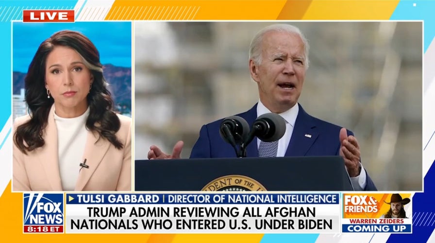 Tulsi Gabbard warns Afghan nationals were 'not properly vetted' under Biden administration