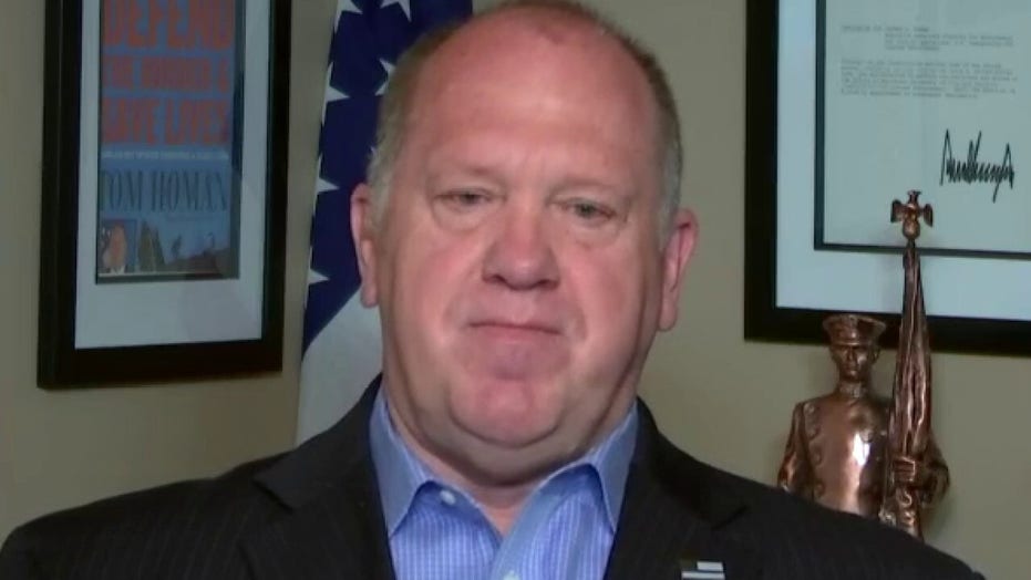 Tom Homan says liberals are using coronavirus as an excuse to free detained illegal immigrants