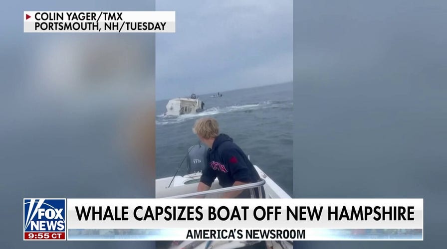 Teens save fishermen after whale capsizes boat: 'Completely insane'