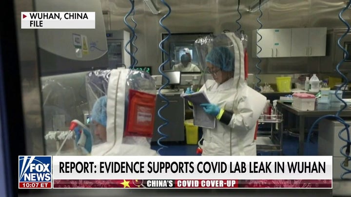 Report points to Wuhan lab leaks in China amid COVID origins probe