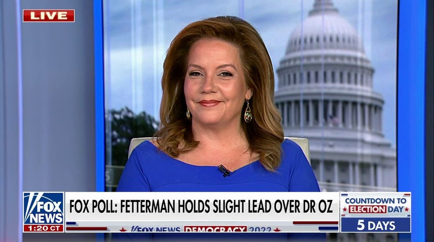 Mollie Hemingway rips Democrats' 'absurd' definition of 'election denier'