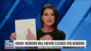 Border bill language ‘makes me sick’: Dana Loesch