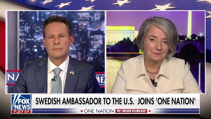 Sweden brings a lot to the table: Swedish ambassador to US