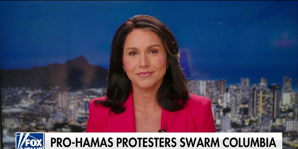 Tulsi Gabbard: 'They've gone beyond pro-Hamas' | Fox News Video