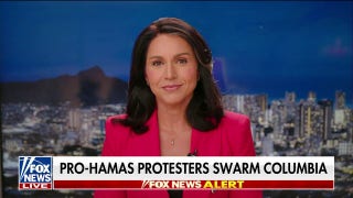 Tulsi Gabbard: 'They've gone beyond pro-Hamas' - Fox News