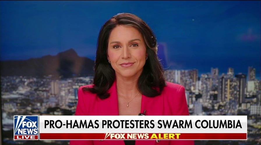 Tulsi Gabbard: 'They've gone beyond pro-Hamas'