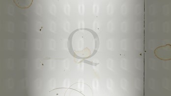 QAnon conspiracy theory enters politics: What to know