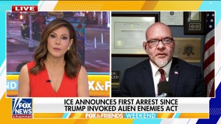 Alien Enemies Act is a 'great tool' to eradicate foreign terrorist organizations off US soil, expert says