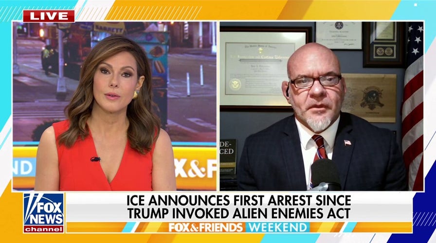 Alien Enemies Act is a 'great tool' to eradicate foreign terrorist organizations off US soil, expert says