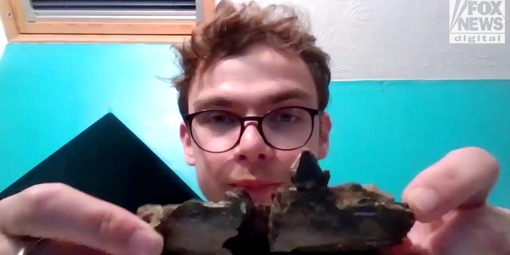 Paleontologist shares discovery of massive dinosaur footprint on beach