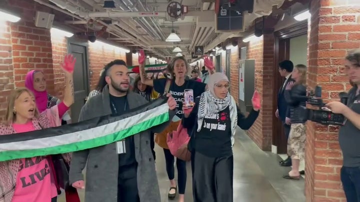 Anti-Israel agitators demonstrate on Capitol Hill