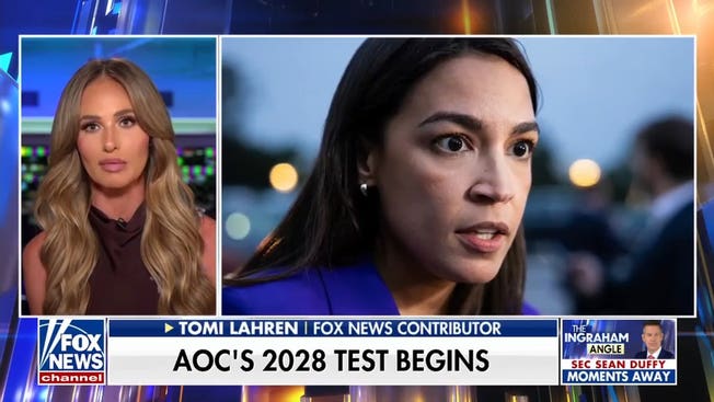 Tomi Lahren: In the Democratic Party, you don’t need solutions — you just need to post