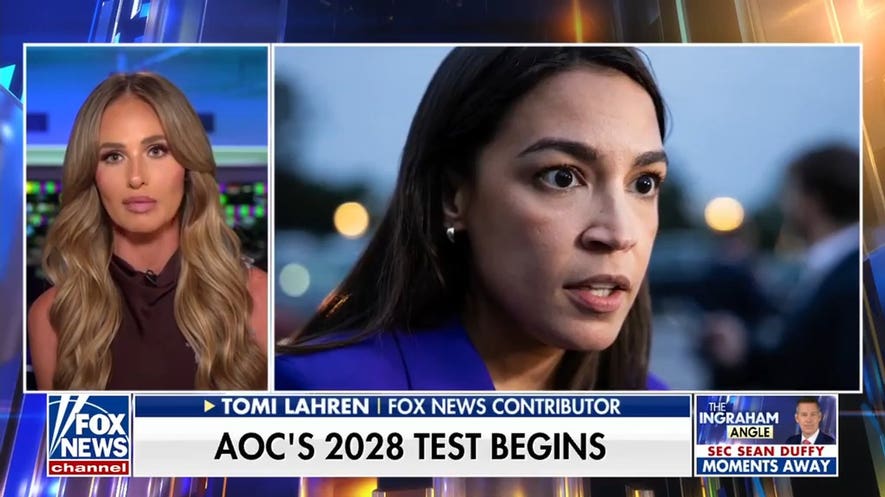 Tomi Lahren: In the Democratic Party, you don’t need solutions — you just need to post