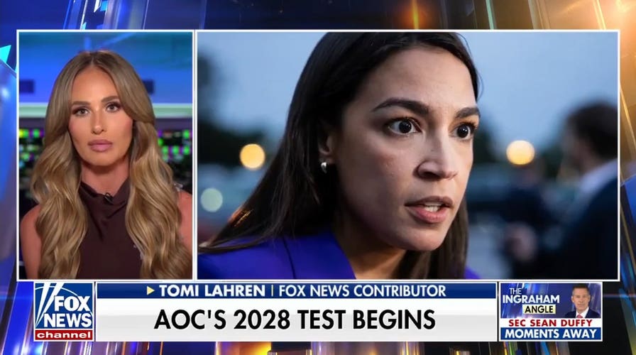Tomi Lahren: In the Democratic Party, you don’t need solutions — you just need to post