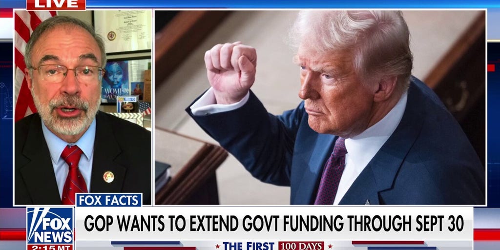 Trump tariffs will 'bring back' businesses to the US, Maryland congressman argues