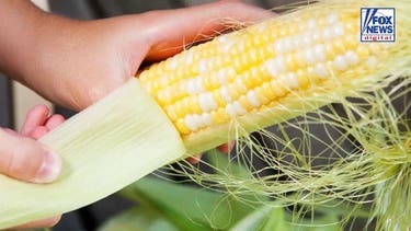 Shucking corn before buying it? Expert reveals the proper grocery store etiquette