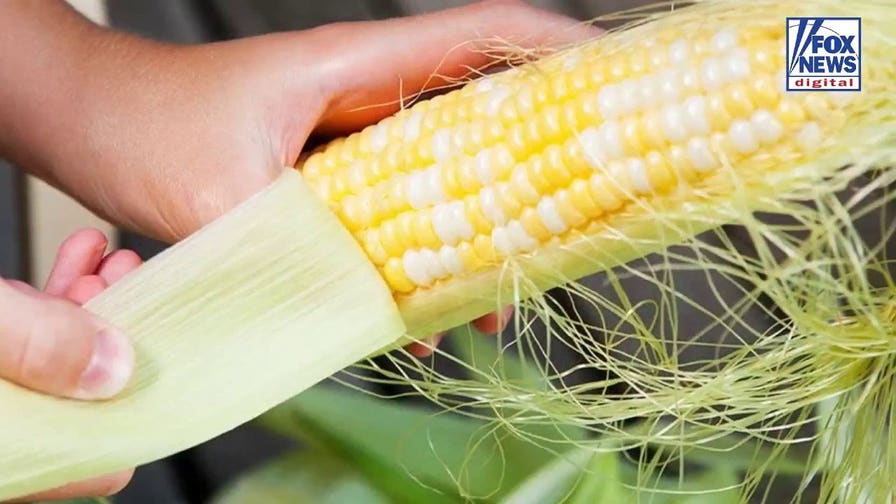 Shucking corn before buying it? Expert reveals the proper grocery store etiquette