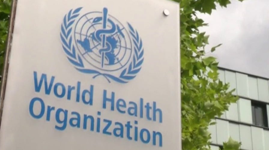 World Health Organization under fire for alleged pro-China bias